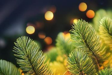 График работы в новогодние праздники